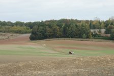 2009--G-chemin du Rotfeld-34